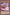Brotherhood of the Fire Fist - Boar [MP14-EN079] Rare - Yu-Gi-Oh! - Card Brawlers | Quebec | Canada |