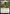 Jazal Goldmane [Foundations] - Magic: The Gathering - Card Brawlers | Quebec | Canada |
