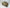 Warhammer 40k - Death Guard - Chaos Rhino (USED) (1)