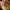 Figure-rise Standard – Amplified -Egyptian God- The Legendary Exodia Incarnate - Bandai Hobby - Card Brawlers | Quebec | Canada |