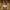 Figure-rise Standard – Amplified -Egyptian God- The Legendary Exodia Incarnate - Bandai Hobby - Card Brawlers | Quebec | Canada |