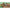 Disney Lorcana: Mickey Mouse Playmat - Ravensburger Hobby - Card Brawlers | Quebec | Canada |