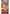 Pokemon TCG: Scarlet & Violet - Obsidian Flames - Booster Pack - Card Brawlers | Quebec | Canada | Yu-Gi-Oh!