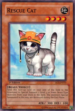 Rescue Cat [FET-EN033] Common - Yu-Gi-Oh! - Card Brawlers | Quebec | Canada |