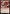 Freedom Fighter Recruit [Avatar: The Last Airbender: Eternal-Legal] - Magic: The Gathering - Card Brawlers | Quebec | Canada |