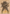 Sarevok, Deathbringer Art Card (Gold-Stamped Signature) [Commander Legends: Battle for Baldur's Gate Art Series] - Magic: The Gathering - Card Brawlers | Quebec | Canada |