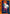 Action Point Card (AP01) (UE22BT/CSM-1-AP01) - UE22BT CHAINSAW MAN Foil - Card Brawlers