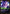 Akali - Silent (Alternate Art) (038a/166) - Vendetta Foil - Card Brawlers