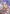 Alice, Golden Afternoon (SP) (SP31EN) (SP01 - SP31EN) [Seaside Memories] - Card Brawlers