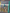 Altered TCG: Seeds of Unity Collector Booster Display (PREORDER) February 2025 - Card Brawlers