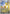 Ampharos (090/086) - Holofoil [ME04 Chaos Rising] - Card Brawlers