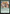 Tale of Katara and Toph [Avatar: The Last Airbender: Eternal-Legal] - Magic: The Gathering - Card Brawlers | Quebec | Canada |