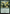 Avatar Kyoshi, Earthbender [Avatar: The Last Airbender: Eternal-Legal] - Magic: The Gathering - Card Brawlers | Quebec | Canada |