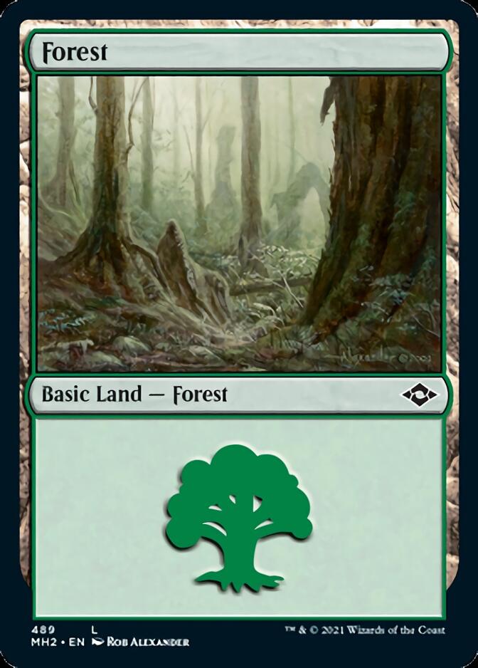 Forest (489) (Foil Etched) [Modern Horizons 2] - Magic: The Gathering - Card Brawlers | Quebec | Canada |