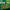 Green Stuff World - Basing Set - Forest - Green Stuff World - Card Brawlers | Quebec | Canada |