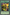 My Body as a Shield [MFC-092] Common - Yu-Gi-Oh! - Card Brawlers | Quebec | Canada |