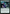 Guardian Project [Secret Lair: From Cute to Brute] - Magic: The Gathering - Card Brawlers | Quebec | Canada |
