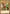 Left Leg of the Forbidden One (Blue) [DL11-EN003] Rare - Yu-Gi-Oh! - Card Brawlers | Quebec | Canada |