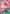 Because the Side of Justice Will Be Whichever Side Wins!! (CS 26-27 Celebration Pack) (OP05-037) - One Piece Promotion Cards Foil - Card Brawlers
