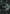 Myrkul, Lord of Bones Art Card (39) (Gold-Stamped) [Commander Legends: Battle for Baldur's Gate Art Series] - Magic: The Gathering - Card Brawlers | Quebec | Canada |
