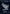 Birds of Paradise (0192) (SLZ-192) - Secret Lair x MSCHF: The Zeta Set - Card Brawlers