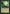 Explosive Vegetation [Onslaught] - Magic: The Gathering - Card Brawlers | Quebec | Canada |