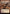 Spectacular Showdown (Extended Art) [Commander Legends: Battle for Baldur's Gate] - Magic: The Gathering - Card Brawlers | Quebec | Canada |