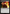 Scarring Memories [Avatar: The Last Airbender: Eternal-Legal] - Magic: The Gathering - Card Brawlers | Quebec | Canada |
