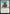 Champion of the Clachan (PPECL-009) - Promo Pack: Lorwyn Eclipsed Foil - Card Brawlers
