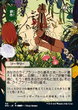 Cultivate (Japanese Foil Etched) [Strixhaven: School of Mages Mystical Archive] - Card Brawlers
