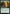 Giant Adephage [Duskmourn: House of Horror Commander] - Magic: The Gathering - Card Brawlers | Quebec | Canada |