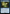 Radstorm (Surge Foil) [Fallout] - Magic: The Gathering - Card Brawlers | Quebec | Canada |