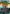 Swampbenders (Borderless) [Avatar: The Last Airbender: Eternal-Legal] - Magic: The Gathering - Card Brawlers | Quebec | Canada |