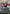 Spectacular Spider-Man (Borderless) [Marvel's Spider-Man Prerelease Promos] - Magic: The Gathering - Card Brawlers | Quebec | Canada |