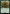 Overwhelming Stampede [The Lord of the Rings: Tales of Middle-Earth Commander] - Magic: The Gathering - Card Brawlers | Quebec | Canada |