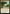 Exotic Orchard [Duskmourn: House of Horror Commander] - Magic: The Gathering - Card Brawlers | Quebec | Canada |