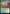 Bountiful Promenade [Commander Legends: Battle for Baldur's Gate Prerelease Promos] - Magic: The Gathering - Card Brawlers | Quebec | Canada |