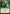 Ognis, the Dragon's Lash (Promo Pack) [Streets of New Capenna Promos] - Magic: The Gathering - Card Brawlers | Quebec | Canada |