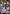 Diablo (005) (R*) (UE20BT/TSK-1-005) - UE20BT That Time I Got Reincarnated as a Slime Foil - Card Brawlers