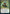 Witherbloom Command (Promo Pack) [Strixhaven: School of Mages Promos] - Magic: The Gathering - Card Brawlers | Quebec | Canada |