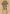 Myrkul, Lord of Bones Art Card (73) (Gold-Stamped Signature) [Commander Legends: Battle for Baldur's Gate Art Series] - Magic: The Gathering - Card Brawlers | Quebec | Canada |