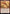 Popular Entertainer [Commander Legends: Battle for Baldur's Gate] - Magic: The Gathering - Card Brawlers | Quebec | Canada |