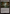 Bojuka Bog [Duskmourn: House of Horror Commander] - Magic: The Gathering - Card Brawlers | Quebec | Canada |