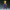 BANDAI - Dragon Ball Z - Son Gohan - (PREORDER) June 18, 2027