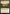Thriving Heath [Avatar: The Last Airbender: Eternal-Legal] - Magic: The Gathering - Card Brawlers | Quebec | Canada |