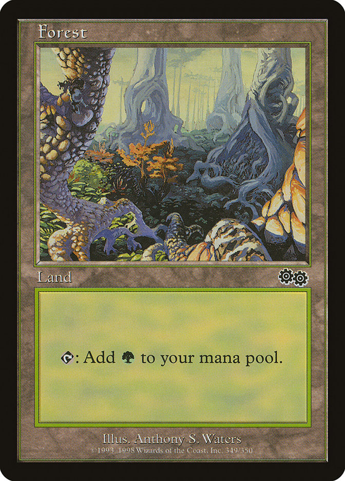 Forest (349) [Urza's Saga] - Magic: The Gathering - Card Brawlers | Quebec | Canada |