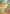 Fennekin (080/null) - Holofoil [ME Mega Evolution Promo] - Card Brawlers