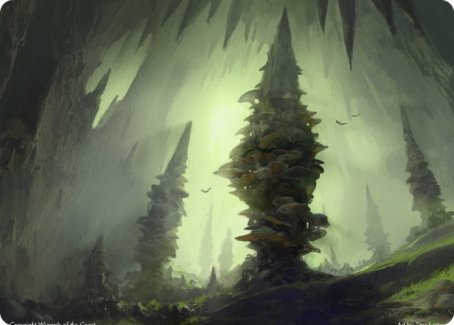 Forest (280) Art Card [Dungeons & Dragons: Adventures in the Forgotten Realms Art Series] - Card Brawlers