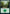 Forest (374) [Strixhaven: School of Mages] - Card Brawlers