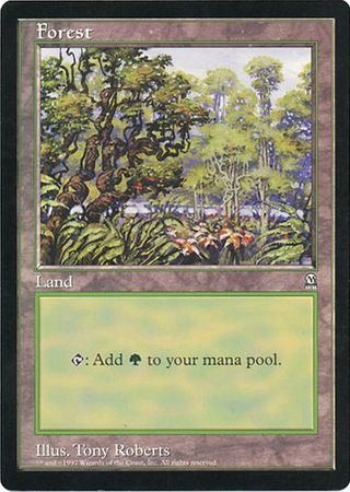 Forest (Oversized) [Oversize Cards] - Card Brawlers